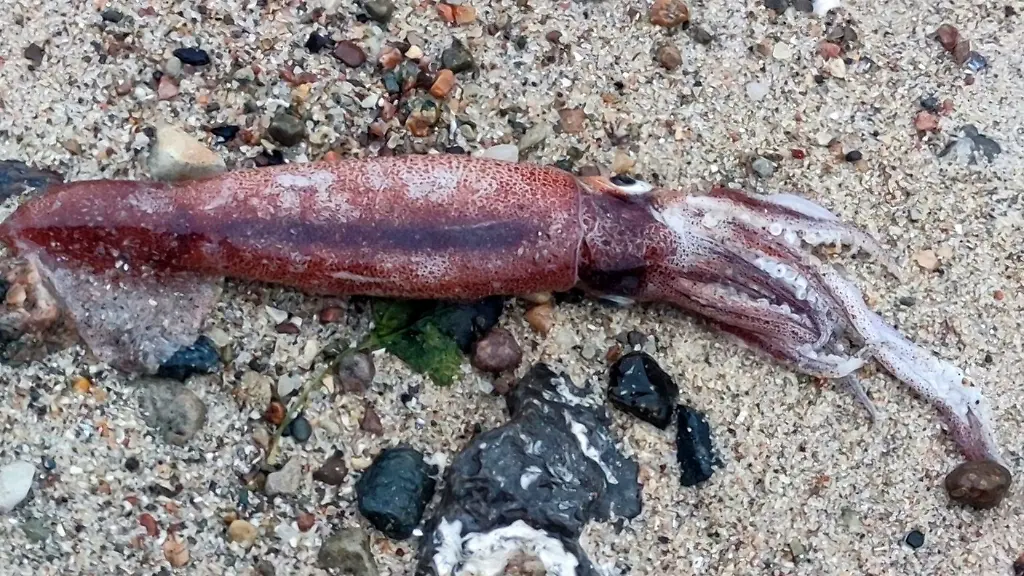 5995a748624fe81796fbd4feae3031b5