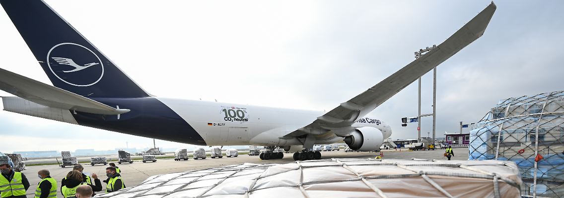 224913588.jpg