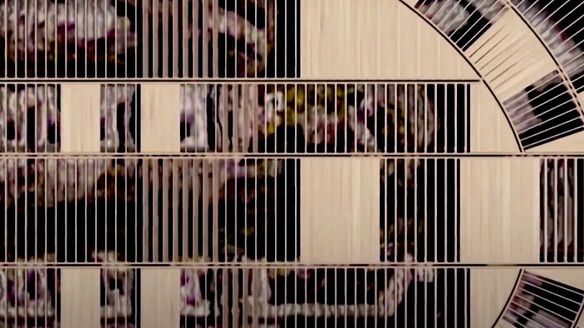 Kolloseum.JPG
