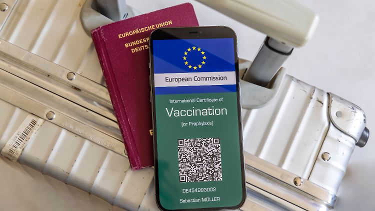 Laut Gesundheitsminister Spahn soll es ab Sommer einen digitalen Impfausweis geben.