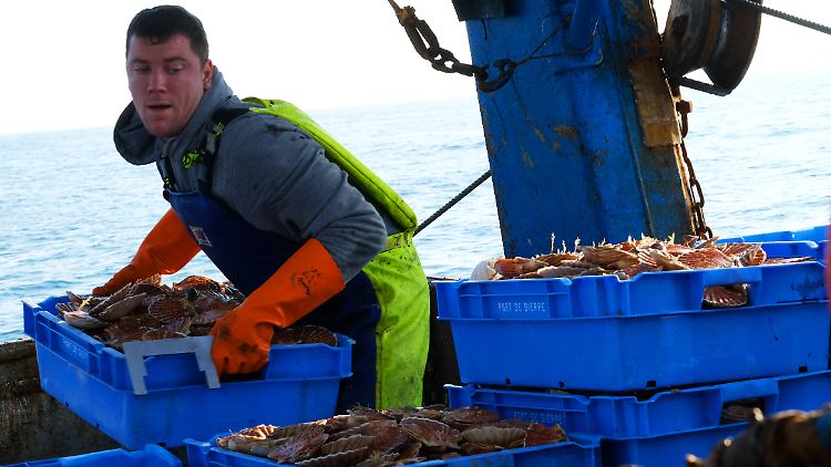 Französische Fischer sind sauer auf die Verantwortlichen auf der Insel Jersey. Ihnen soll kein vollständiger Zugang zu Fanggründen gewährt werden. 