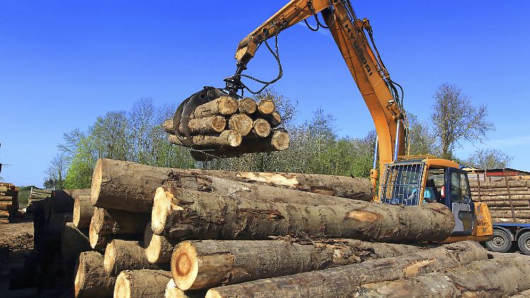 Holz gilt als Baustoff des 21. Jahrhunderts. Die Waldbesitzer wollen nun stärker vom Boom profitieren.