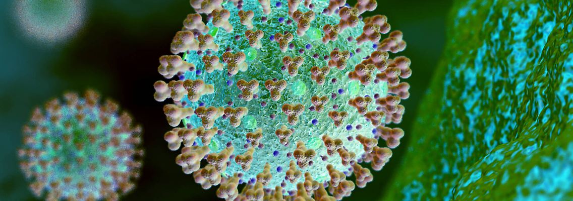 coronavirus.jpg