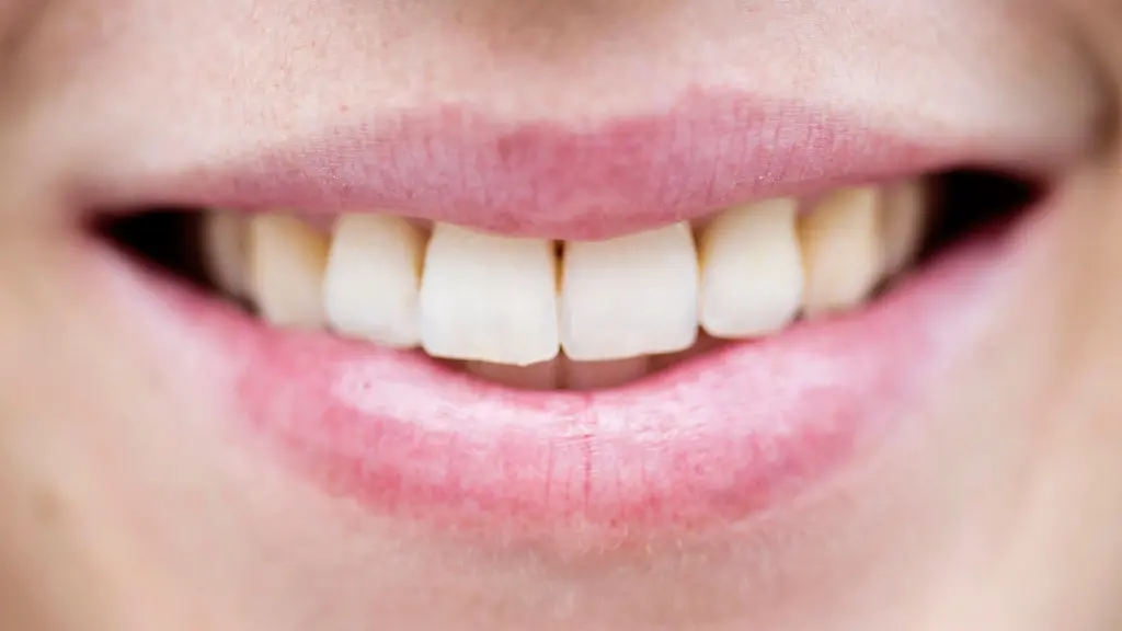 Alle-Affen-koennen-lachen-aber-unter-allen-Primaten-haben-nur-Menschen-eine-Sprache-herausgebildet