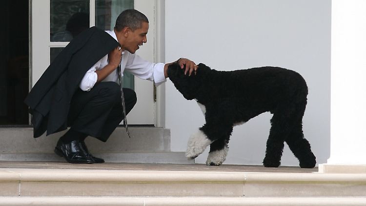 Bo und sein Herrchen (li.) 2012 im Weißen Haus.