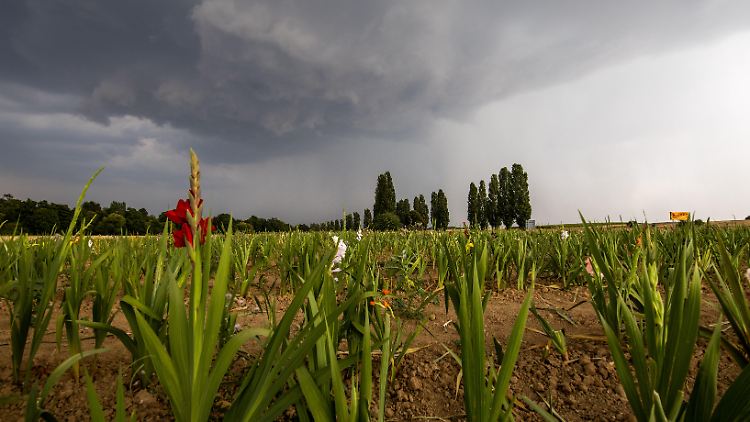 Die neue Wetterwoche startet im Osten mit heißen Temperaturen bis 30 Grad und Gewitter.