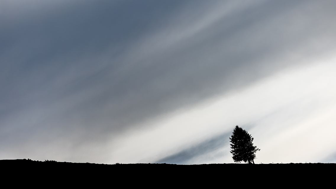 241054416.jpg