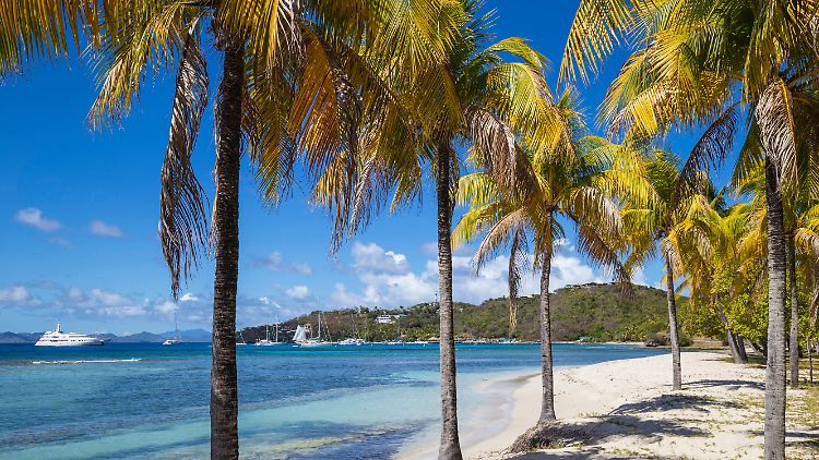 Mustique gehört zur Inselkette der Grenadinen und soll schon Prominenten wie Mick Jagger oder Tommy Hilfiger Zuflucht geboten haben.