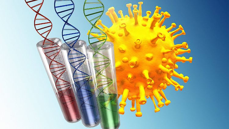 Das gesamte Erbgut des Virus kann nicht in menschliche Gene gelangen.