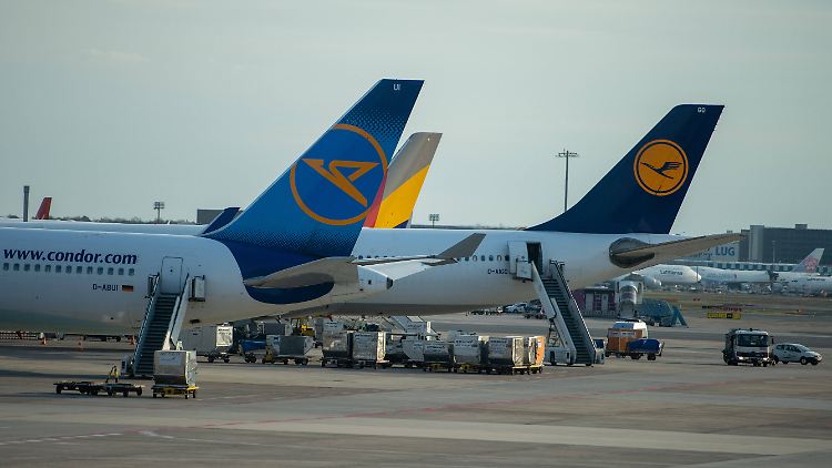 Seit' an Seit' und doch zerstritten: die große Lufthansa und der kleinere Ferienflieger Condor.