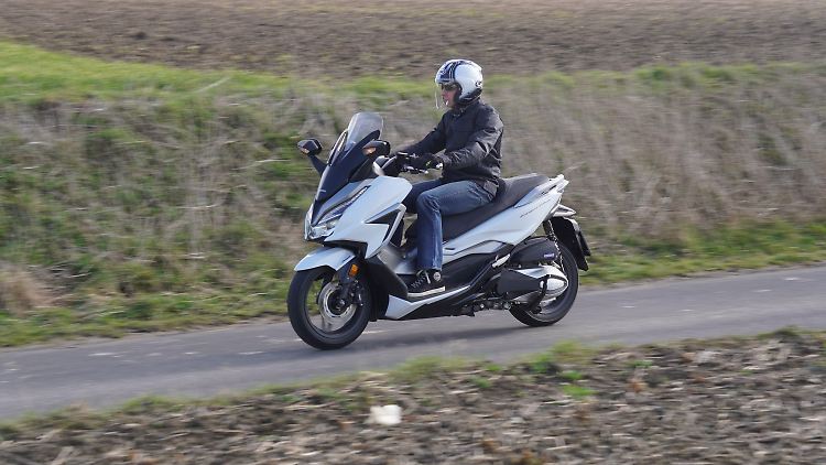 Hondas Mittelklasse-Tourer Forza 350 hat den bisherigen Forza 300 abgelöst.