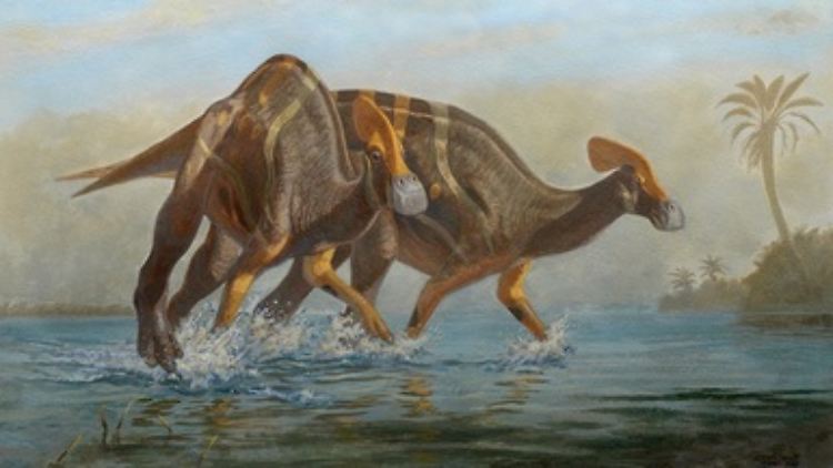Mexikanische Paläontologen beschreiben Tlatolophus galorum als "gesprächige" Dinosaurierart.
