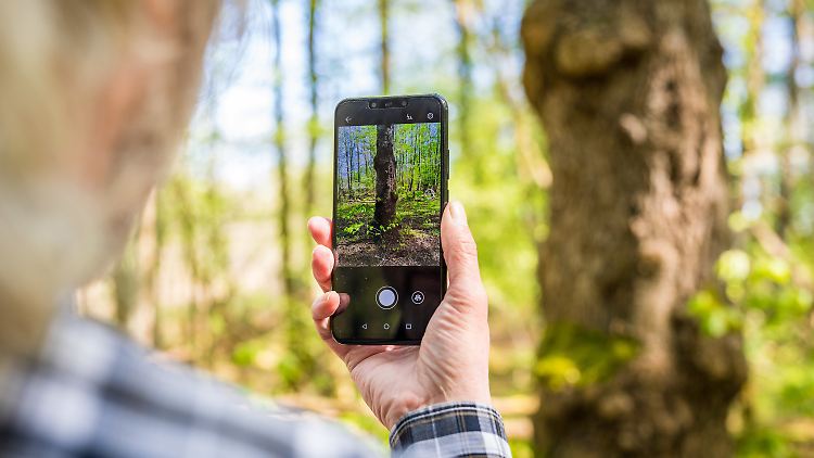 Viele haben das Smartphone bei ihren Streifzügen ohnehin dabei.
