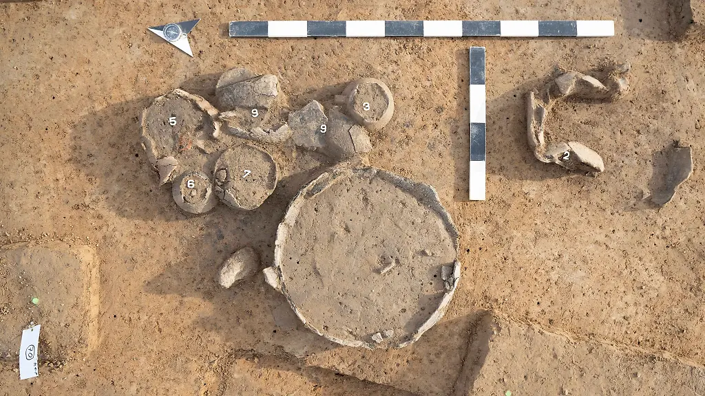 Archaeologen-bringen-saechsische-Regionalgeschichte-ans-Licht