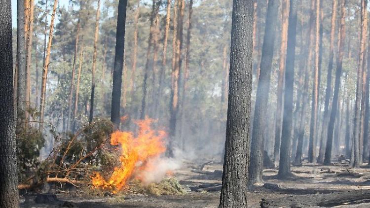 Lieber einmal öfter die Feuerwehr rufen als einmal zu wenig.