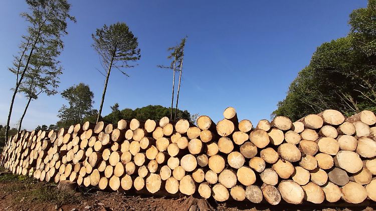In vielen Wäldern stapelt sich das Holz - gleichzeitig ist von einer Knappheit die Rede.