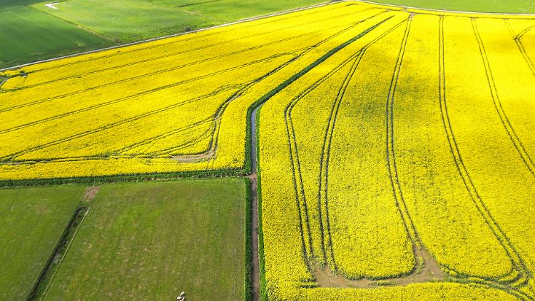 Eine moderate Erwärmung von 1,4 Grad bis Ende des Jahrhunderts wäre für die Landwirtschaft noch gut zu bewältigen, eine starke oder sehr starke Erwärmung hätte aber gravierende Auswirkungen.