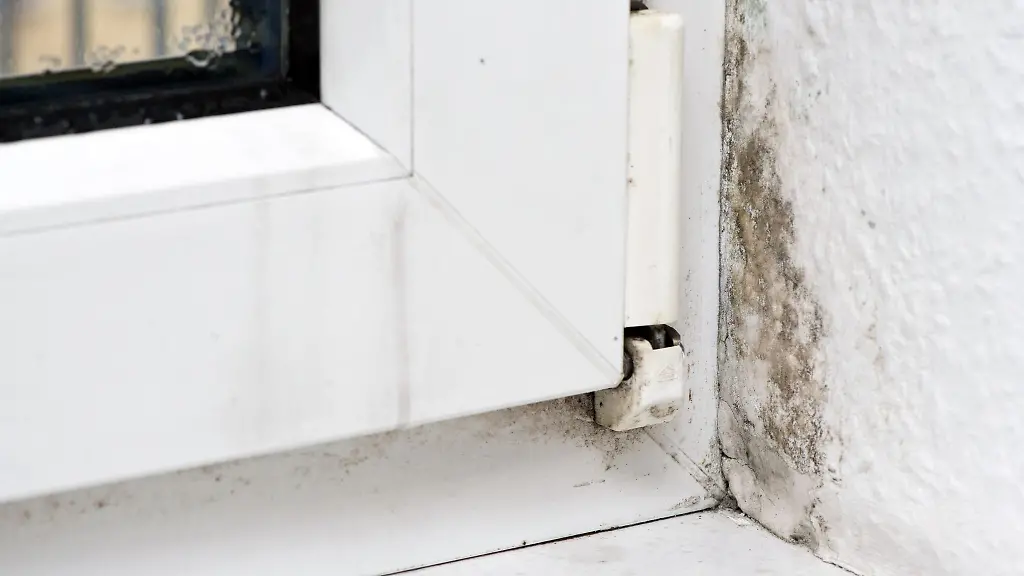 Feuchtigkeit-in-der-Wohnung-kann-zur-Schimmelbildung-fuehren-Manchmal-liegt-die-Ursache-dafuer-an-einem-Fenstertausch