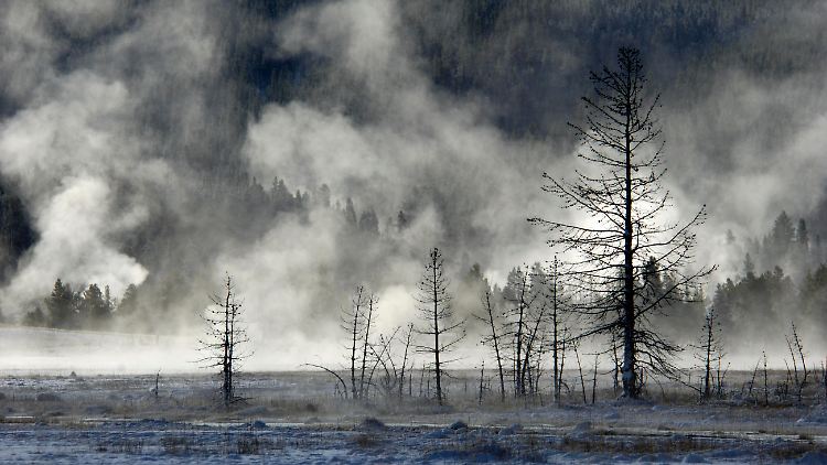 In den Wäldern Alaskas und Kanadas tritt das Phänomen der "Zombie-Waldbrände" besonders nach heißen Sommern mit starken Waldbränden auf.