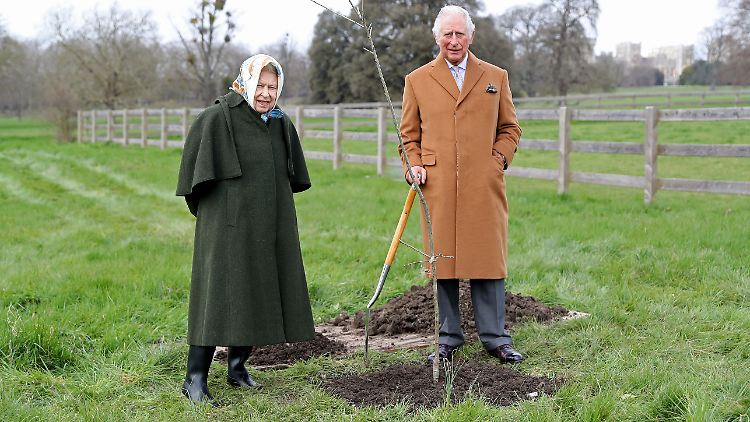 Zeichen der Hoffnung: Elizabeth II. und Prinz Charles pflanzen anlässlich des 70. Thronjubiläum auf dem Gelände von Schloss Windsor den ersten Jubiläumsbaum ein. Ihren Dorgi-Welpen muss sie aber leider begraben.
