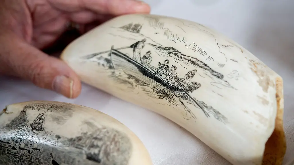 Walfaenger-fertigten-frueher-auf-langen-Seereisen-zum-Zeitvertreib-Zeichnungen-auf-Walzaehnen-an