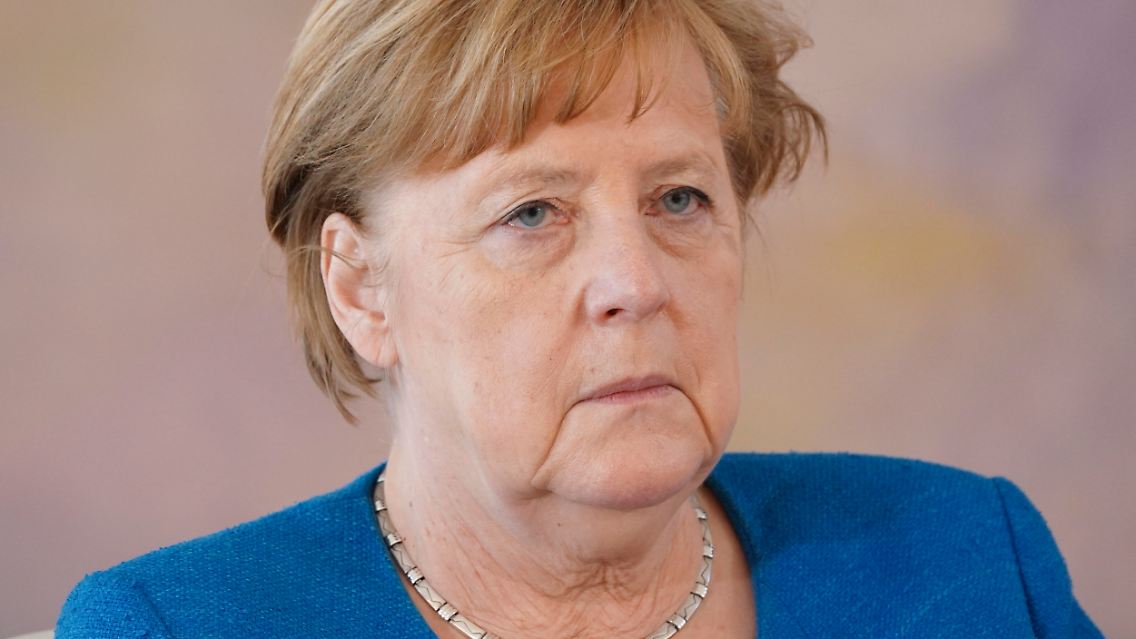 242308461.jpg