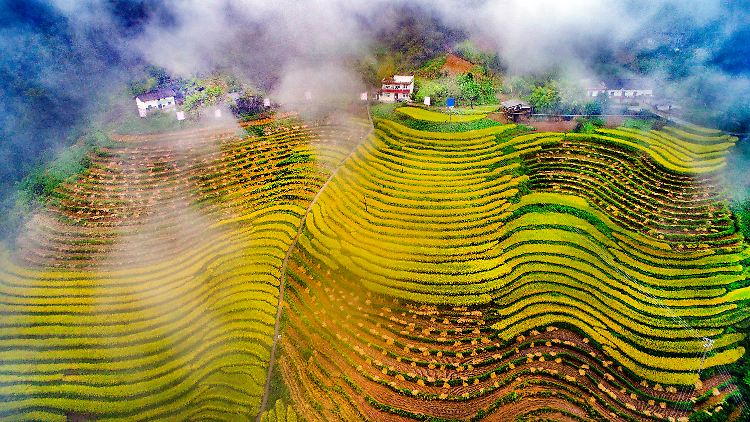 Terrassenfelder in China: Der Mensch hat das Gesicht der Erde grundlegend verändert, schon vor Jahrtausenden.