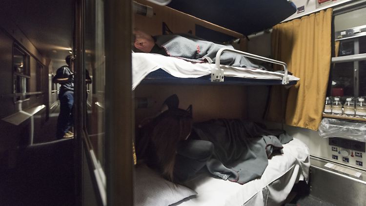 Vor allem die Österreichischen Bundesbahnen (ÖBB) halten die Nachtverbindungen am Leben.