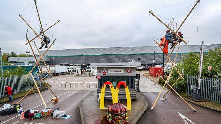 Die Umweltaktivisten fordern von McDonald's eine Umstellung auf ein rein pflanzliches Angebot bis zum Jahr 2025.