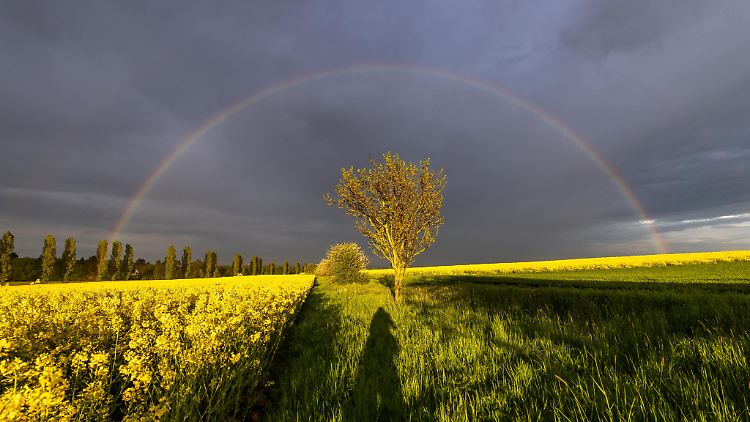 Die nächste Wetterwoche wird regnerisch und stürmisch.