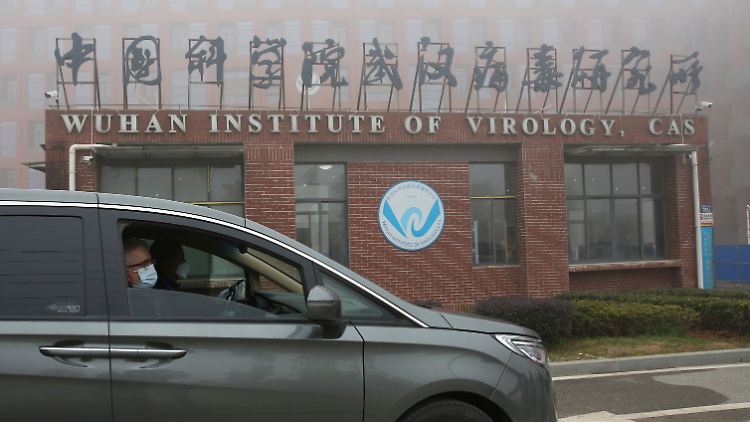 Das Institut für Virologie in Wuhan steht im Zentrum der Hypothese eines Laborunfalls als Ursprung von Sars-CoV-2.