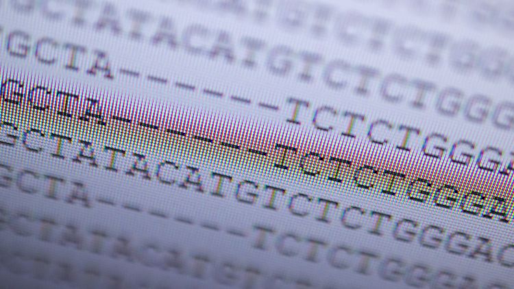 DNA-Analyse eines mutierten Coronavirus in der Variante, die zuerst in Großbritannien aufgetreten ist. Die Stelle der Veränderung im Virus-Erbgut wird durch Striche markiert.