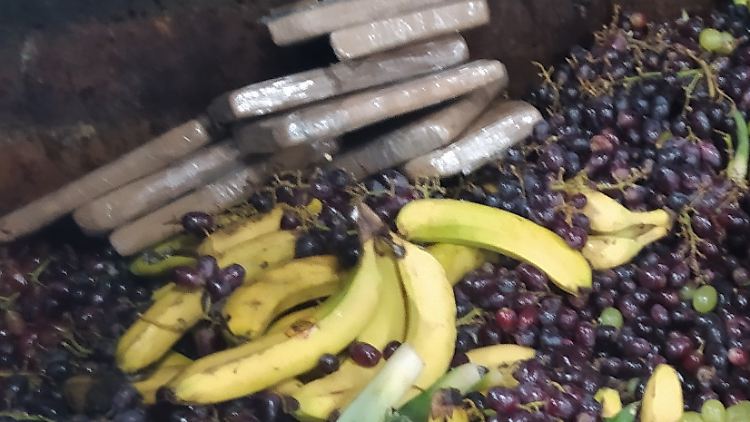 Eine Melange aus Kokainpäckchen, Bananen und Trauben fanden die Ermittler im Biomüll.