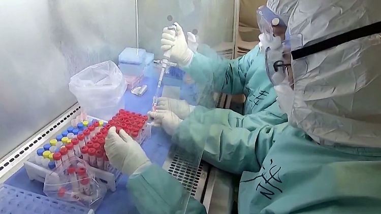 Dass im chinesischen Wuhan mit Coronaviren gearbeitet wird, ist bekannt. Die Theorie, es könnte in einem Labor dabei zu einem Unfall gekommen sein, weisen die Behörden in China aber vehement zurück. 