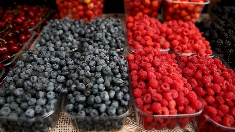 Die meisten Beeren haben den Test mit Bravour gemeistert.