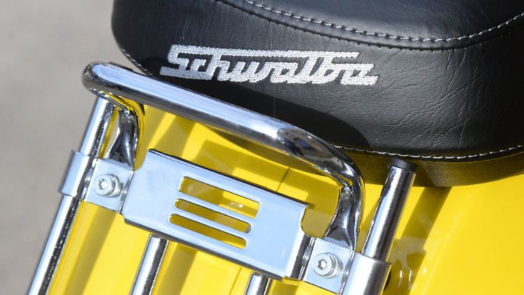 Hübsch anzusehen, diese Schwalbe.