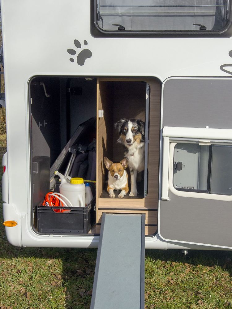Natürlich gibt es auch Wohnmobillösungen für die, die unbedingt mit dem Hund reisen wollen.