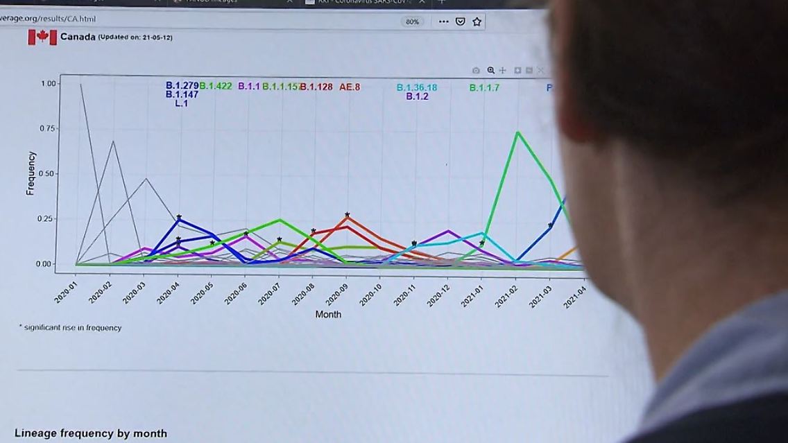 Corona Datensammlung.JPG