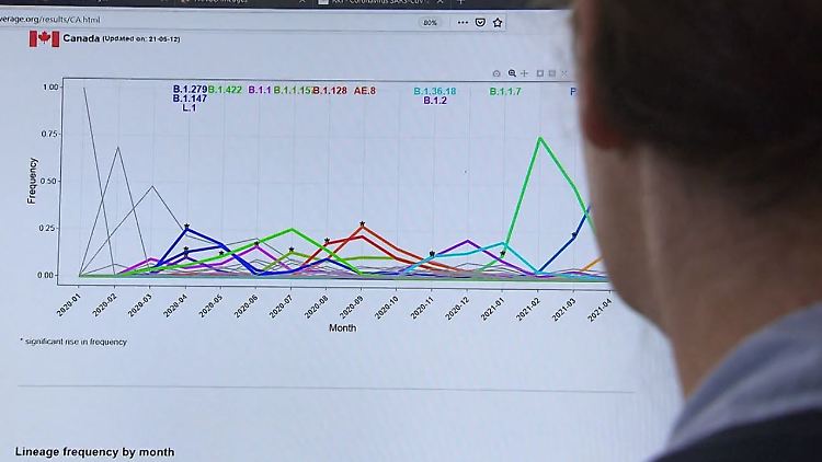 Corona Datensammlung.JPG