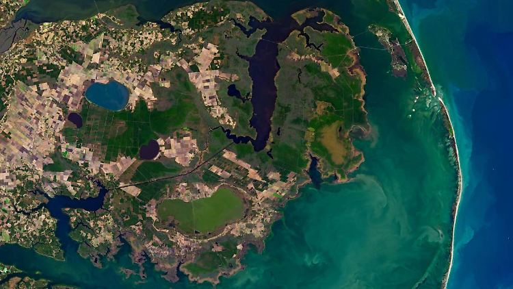 Die grauen Flächen in den Küstenregionen sind tote Wälder - mittlerweile gibt es in North Carolina so viele davon, dass sie vom All aus sichtbar sind.