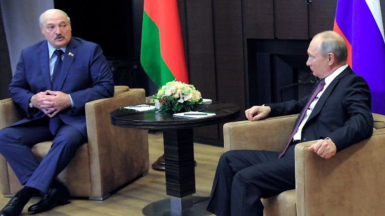 Lukaschenko ist Dauergast bei Russlands Präsident Putin. Viele Freunde hat der belrussische Diktator sonst nicht mehr auf der Welt.