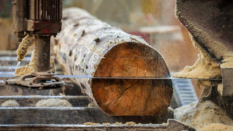 Die hohe internationale Nachfrage nach Holz sorgt für steigende Preise. 