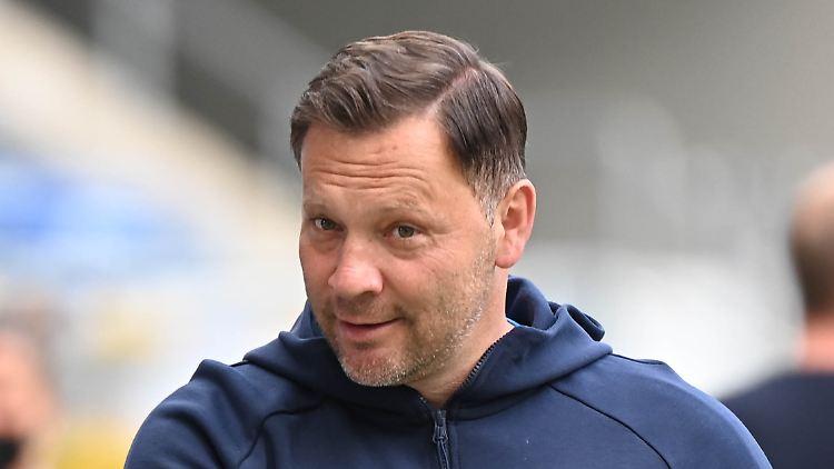 "Arbeit und Fleiß werden da sein", verspricht Pal Dardai.