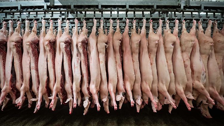 In Australien warten Tausende Beschäftigte auf die Wiederaufnahme des Schlachtbetriebs.