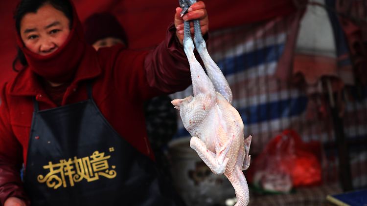 In China kommt es immer wieder zu Übertragungen verschiedener Vogelgrippe-Viren auf Menschen.