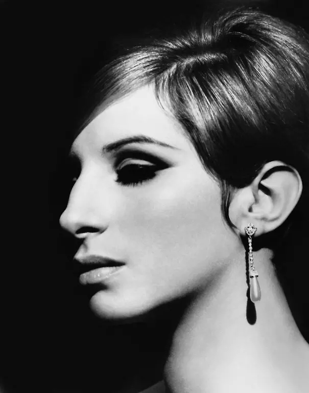 FO-Schapiro-Schiller-Barbra-Streisand-012