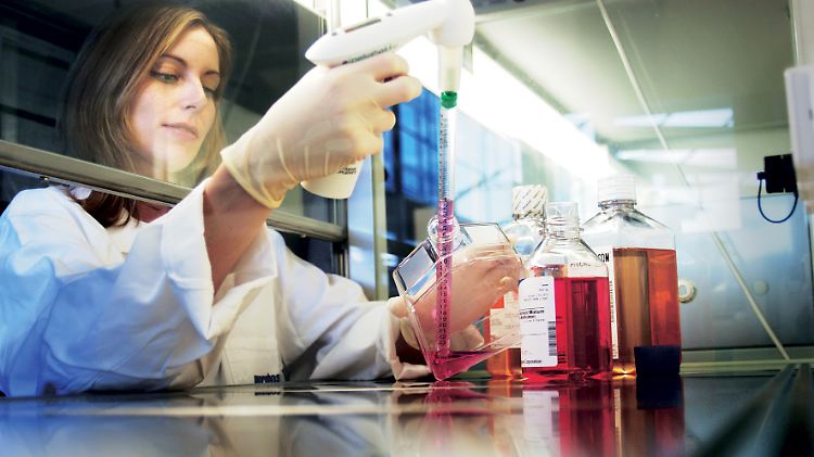 Morphosys forscht an Krebstherapien.