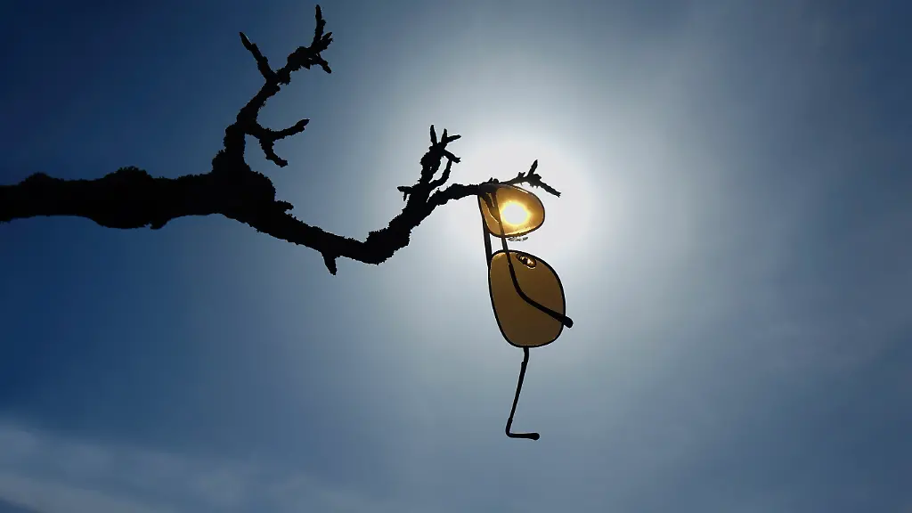 Eine-Sonnenbrille-haengt-an-einem-kahlen-Baum