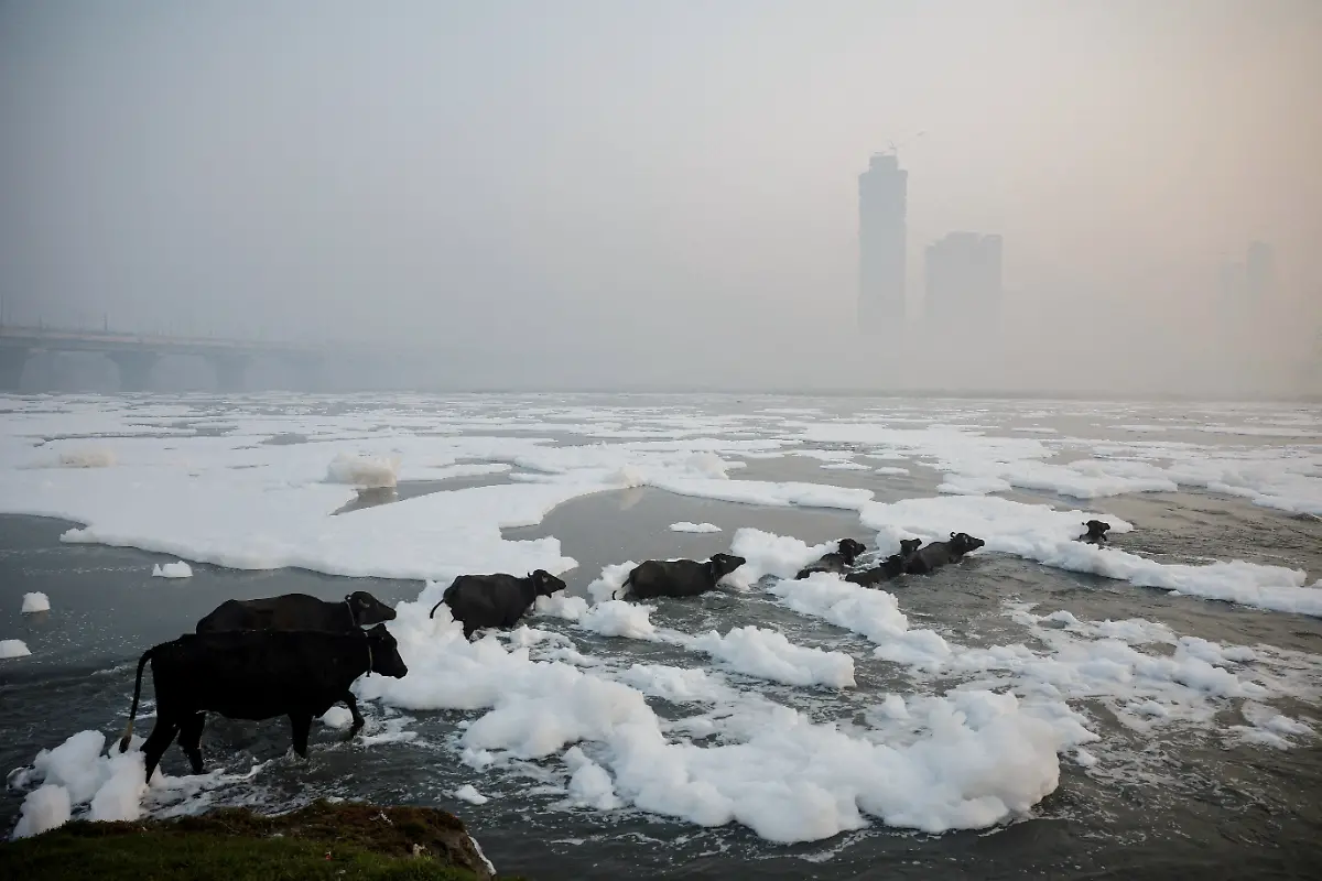 2024-12-02T100146Z-1448714557-RC2PYAAM592I-RTRMADP-3-YEAR-END-2024-PHOTOS-BEST