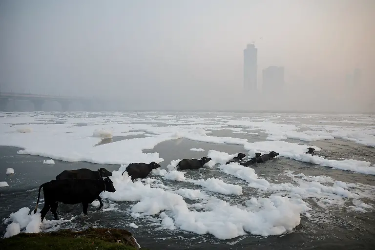 2024-12-02T100146Z-1448714557-RC2PYAAM592I-RTRMADP-3-YEAR-END-2024-PHOTOS-BEST